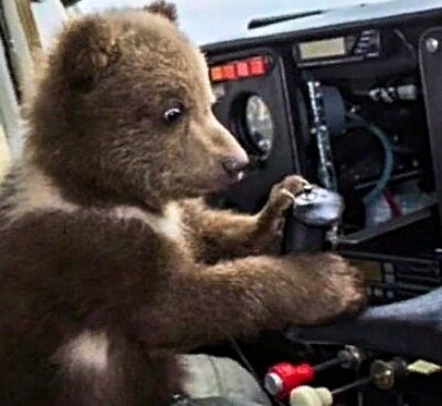 Анатолий